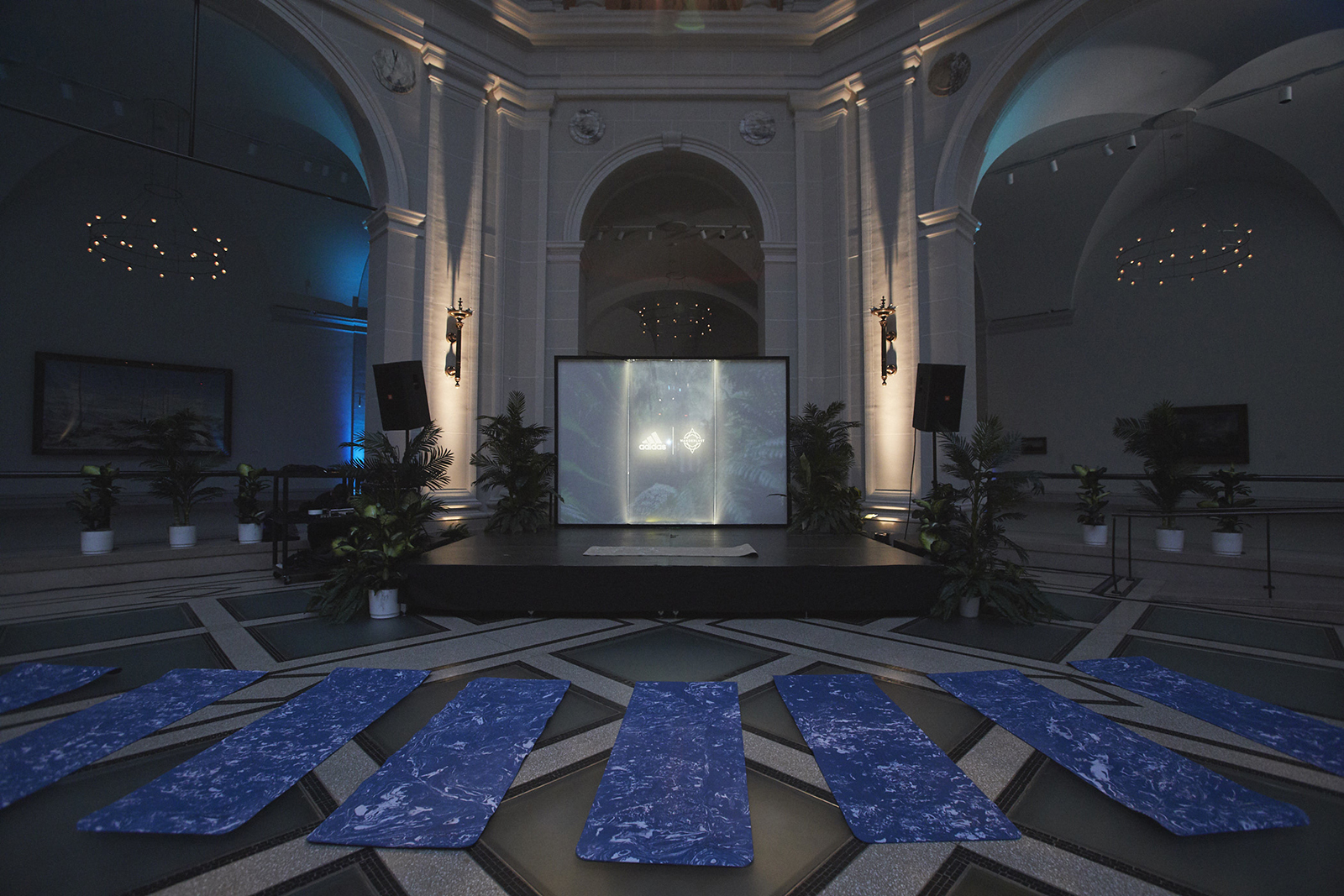 A stage  with a lit screen in a dimly lit atrium, surrounded by plants, is faced by a row of empty yoga mats.
