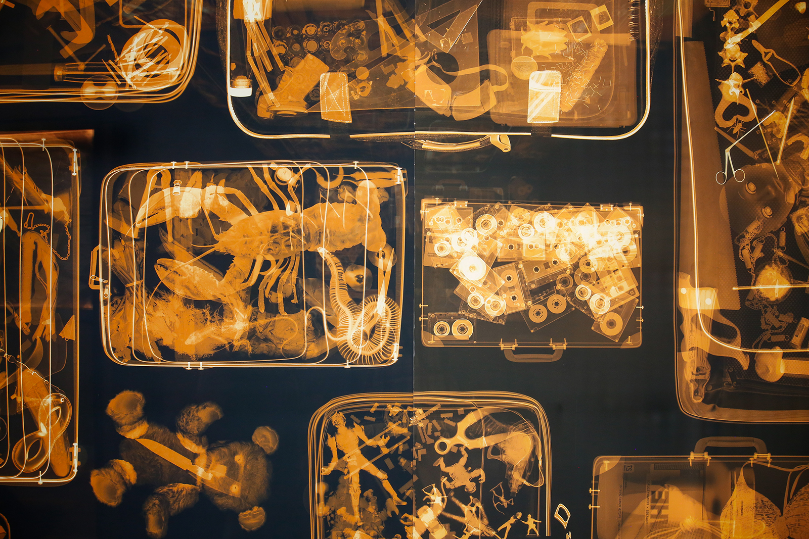 Detail of a backlit mural of x-rayed luggage, revealing surprising contents like a briefcase full of cassette tapes, a teddy bear with a knife inside, a suitcase full of sea creatures, and another full of kids toys.