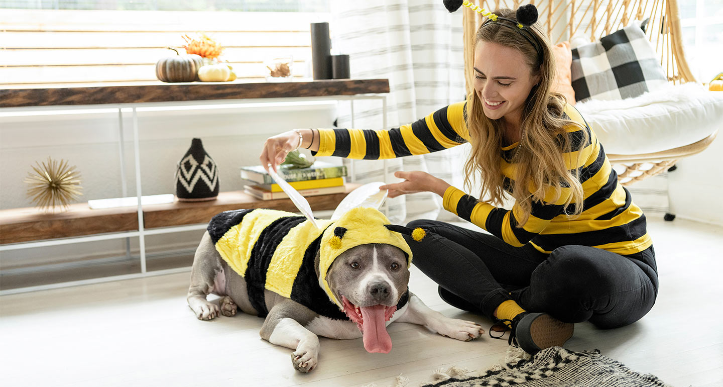 Dog and owner dressed as bees