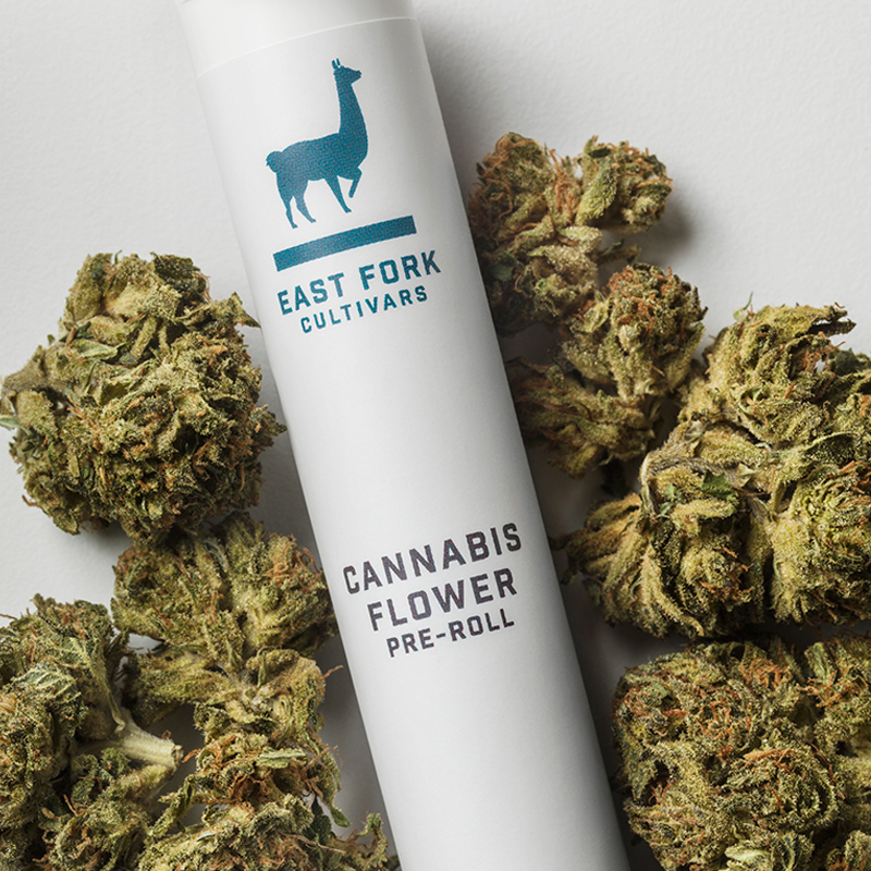 A closely cropped view of an East Fork Cultivars Cannabis Flower pre-roll tube, with the blue East Fork llama logo, among several flowers.